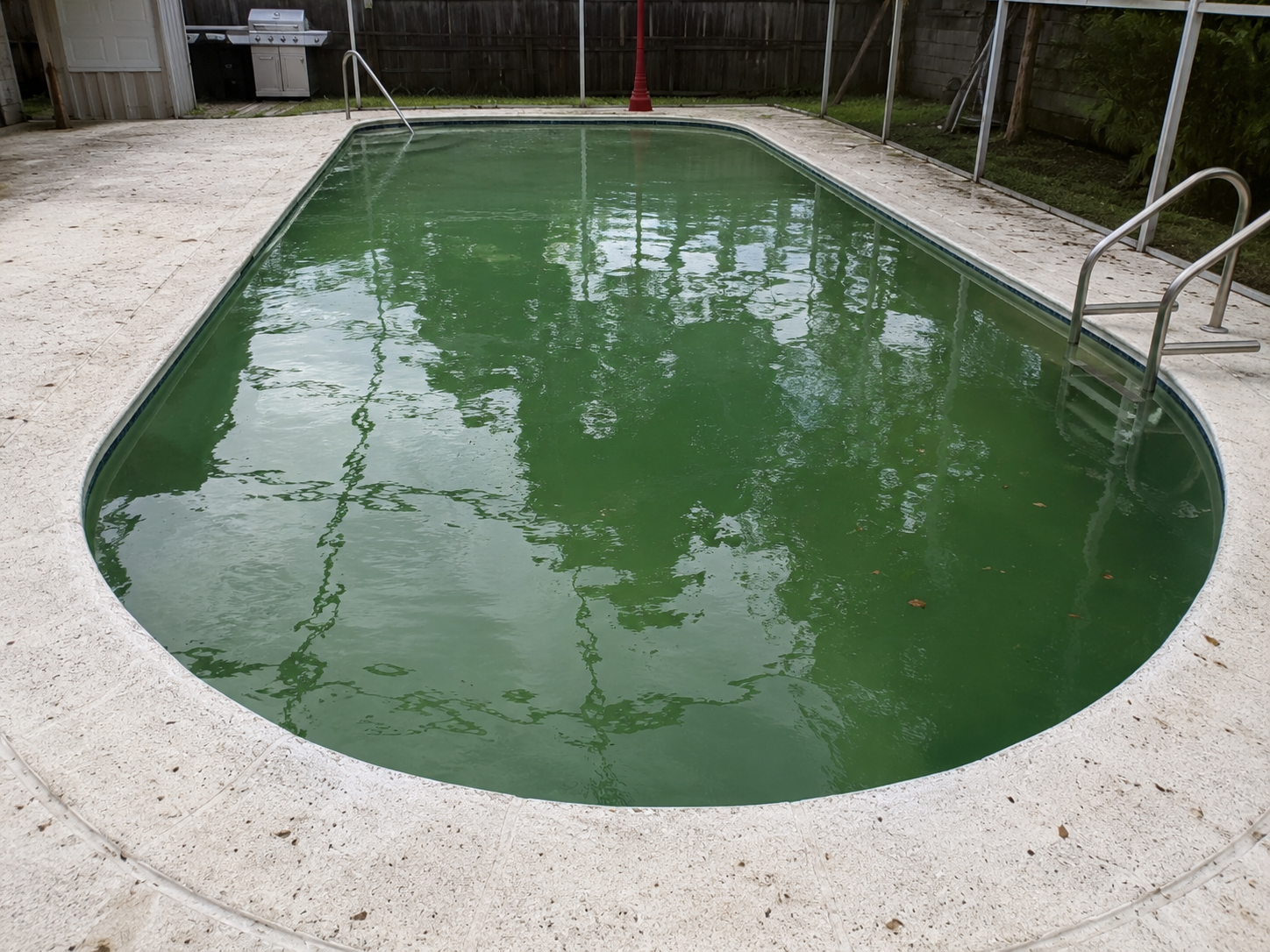Pool before cleaning