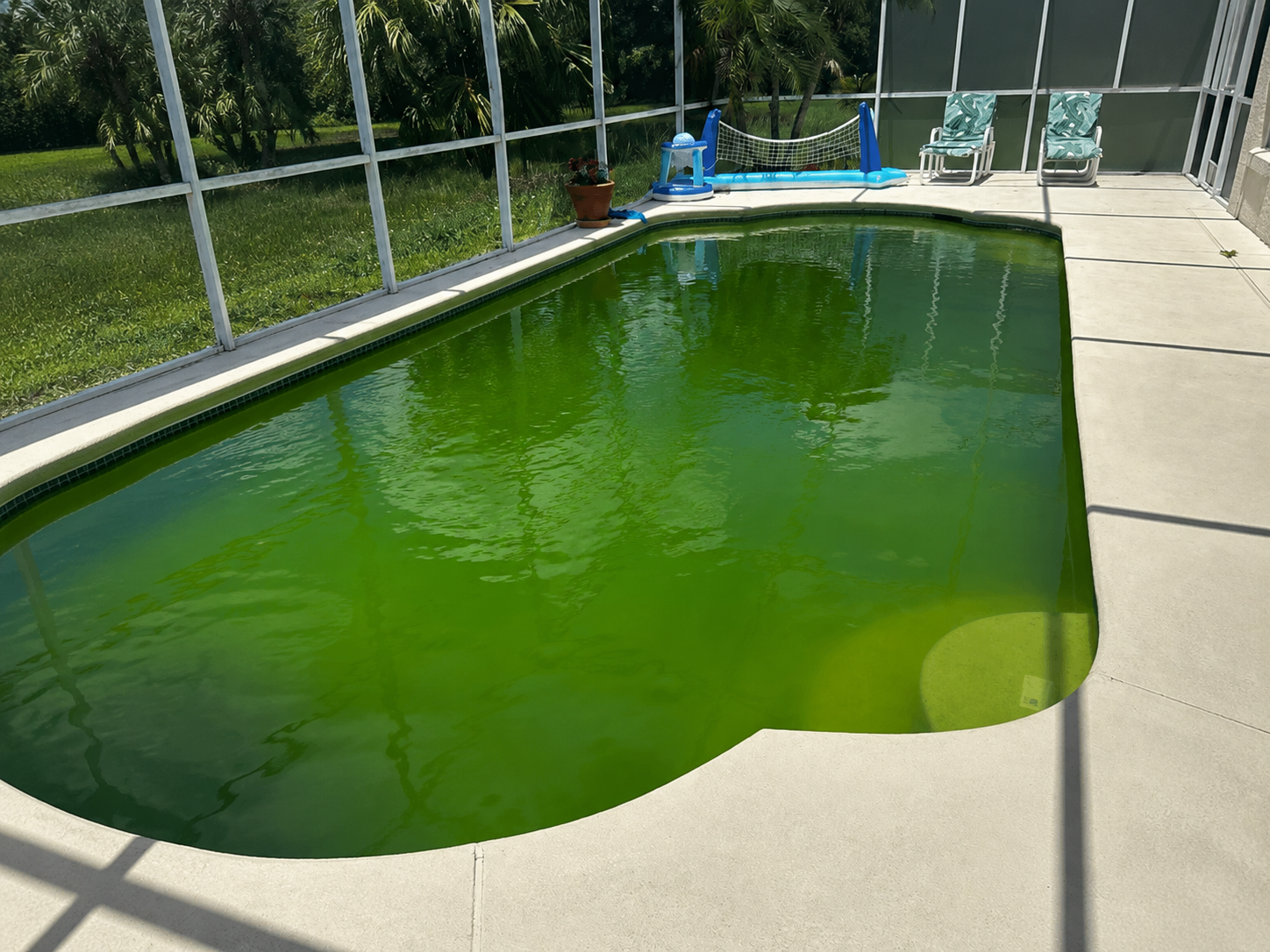 Pool before cleaning