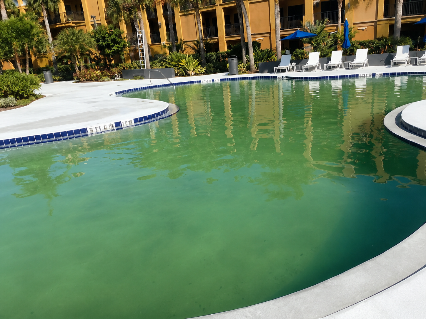 Pool before cleaning